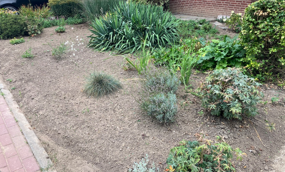 Jouw tuin nu